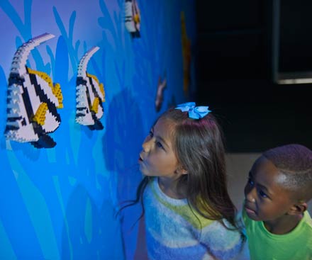 LEGO® Reef