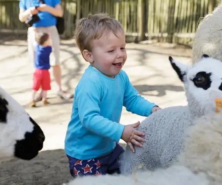 Children's Farm